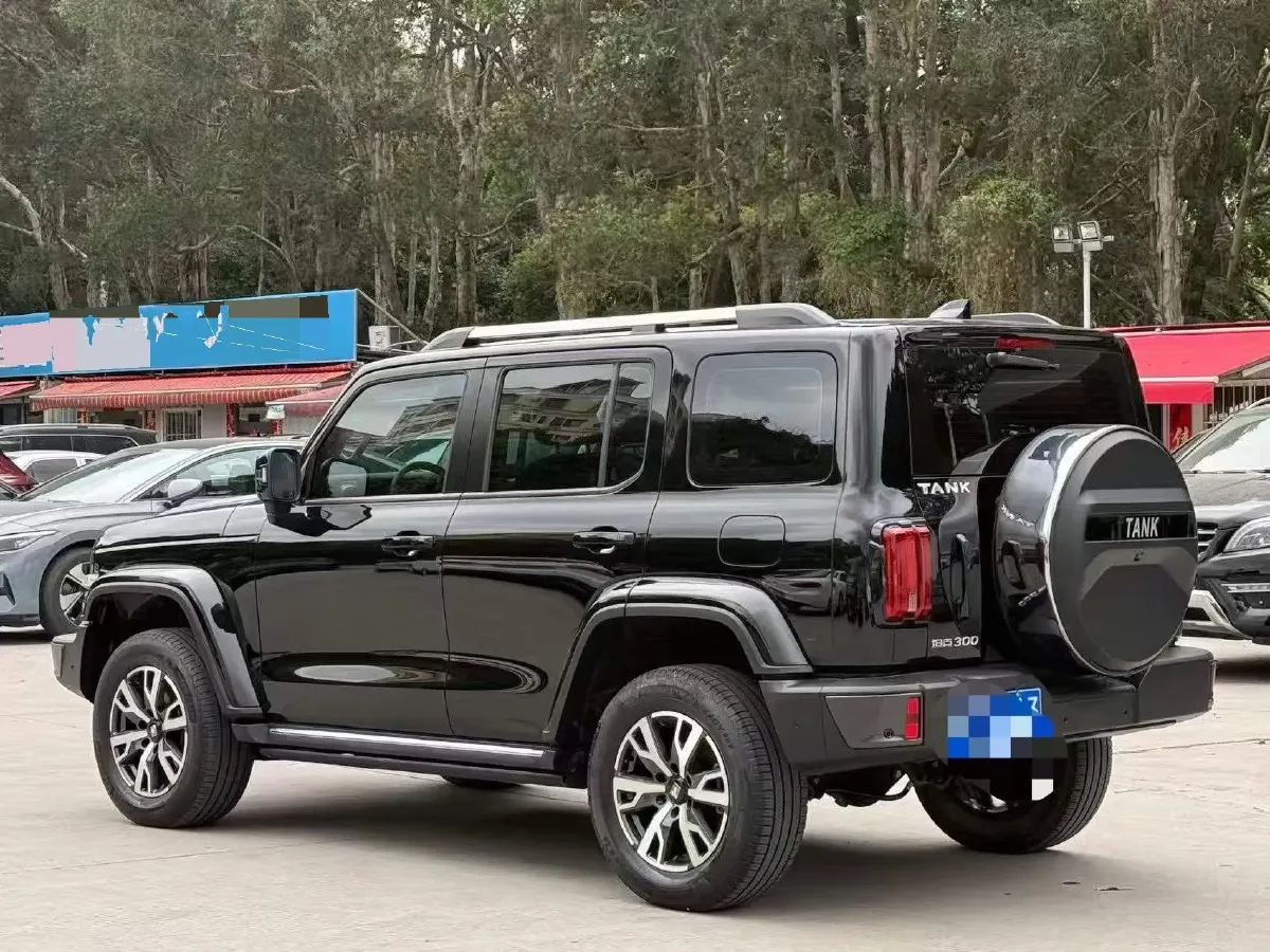 2021 Tank 300 2.0T 227HP L4 8AT,autocango,china used car exporter,china ev exporter,chinese used car exporter,chinese used ev exporter