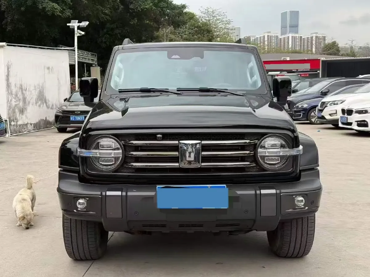 2021 Tank 300 2.0T 227HP L4 8AT,autocango,china used car exporter,china ev exporter,chinese used car exporter,chinese used ev exporter