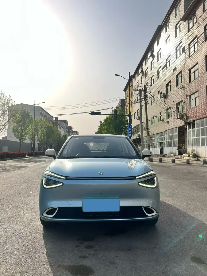 2024 DongFeng eπ 01 BEV 42.3KWH,autocango,china used car exporter,china ev exporter,chinese used car exporter,chinese used ev exporter