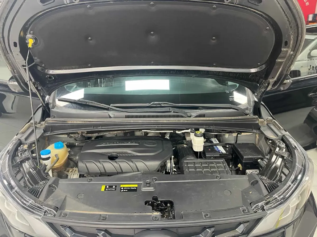 2021 GAC Trumpchi M6 1.5T 169HP L4 7DCT,autocango,china used car exporter,china ev exporter,chinese used car exporter,chinese used ev exporter