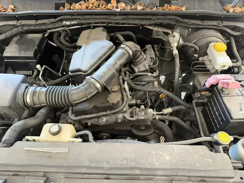 2020 Dongfeng RuiQi 6 2.4L 158HP L4 5MT,autocango,china used car exporter,china ev exporter,chinese used car exporter,chinese used ev exporter