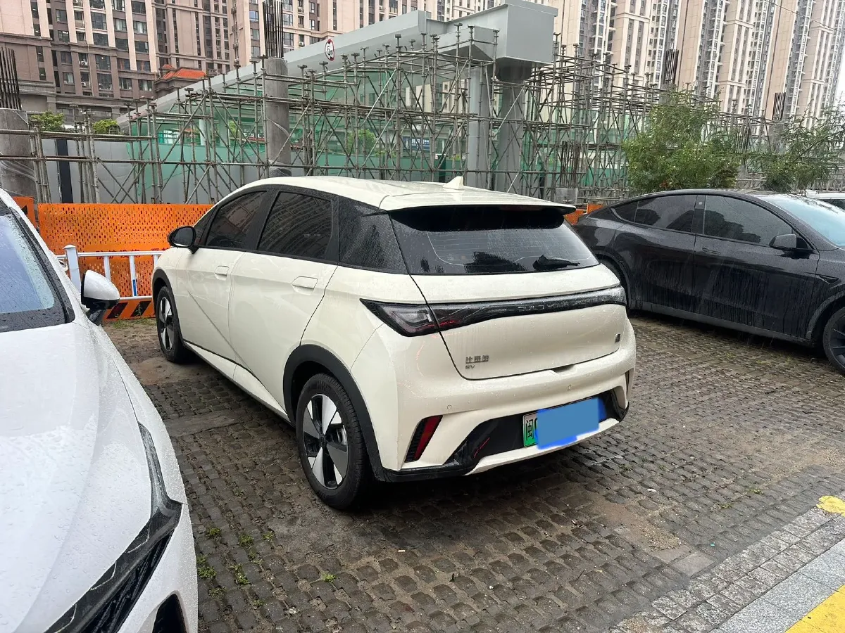 2023 BYD Dolphin BEV 44.928KWH,autocango,china used car exporter,china ev exporter,chinese used car exporter,chinese used ev exporter