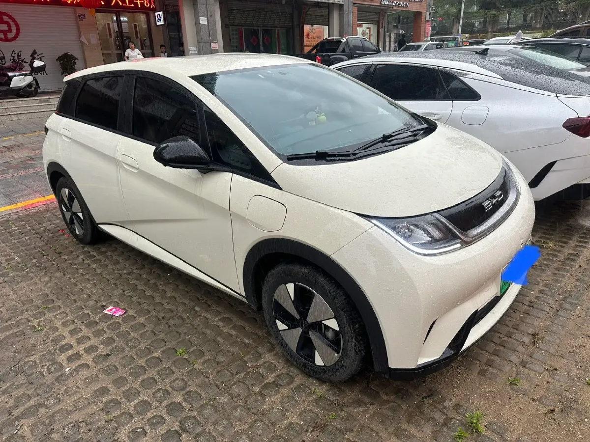 2023 BYD Dolphin BEV 44.928KWH,autocango,china used car exporter,china ev exporter,chinese used car exporter,chinese used ev exporter