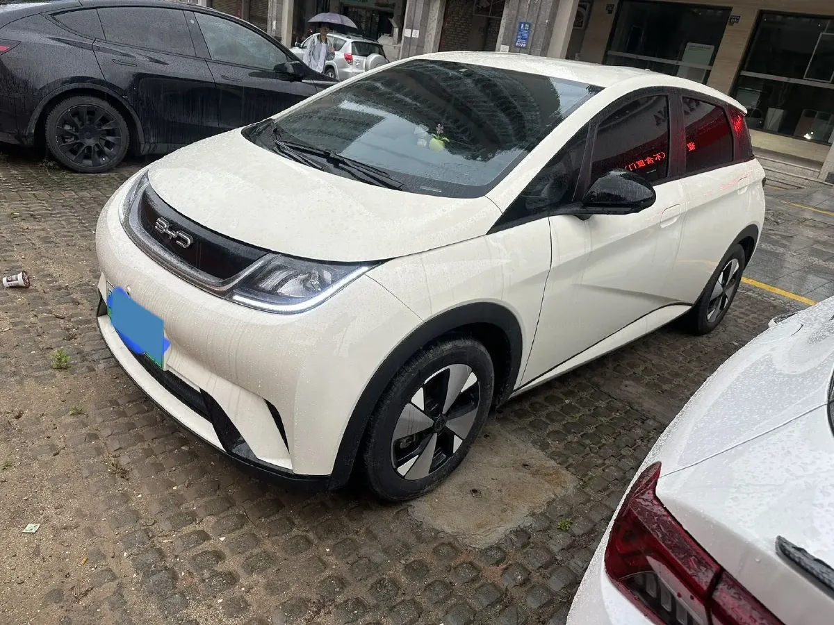 2023 BYD Dolphin BEV 44.928KWH,autocango,china used car exporter,china ev exporter,chinese used car exporter,chinese used ev exporter