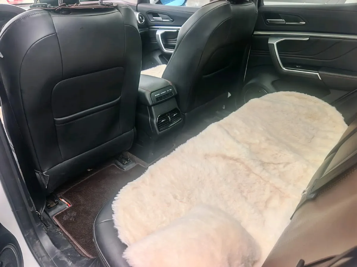 2019 WEY VV5 2.0T 224HP L4 7DCT,autocango,china used car exporter,china ev exporter,chinese used car exporter,chinese used ev exporter