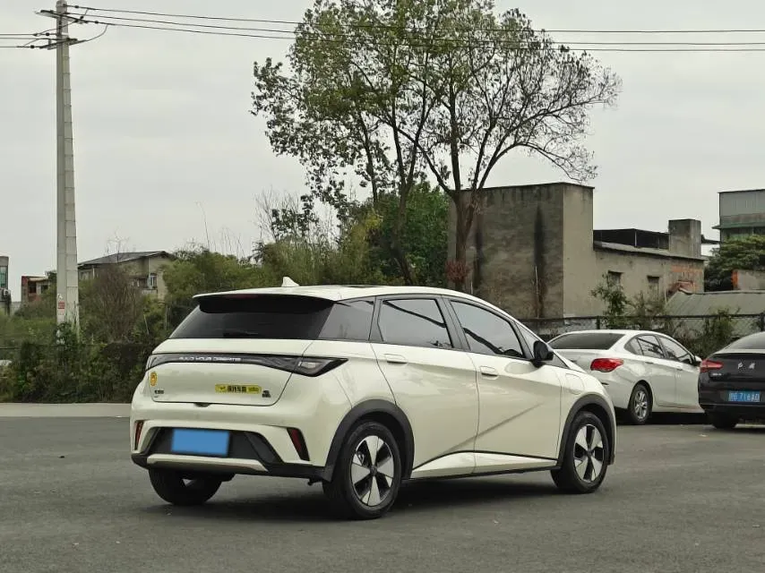 2023 BYD Dolphin BEV 44.928KWH,autocango,china used car exporter,china ev exporter,chinese used car exporter,chinese used ev exporter