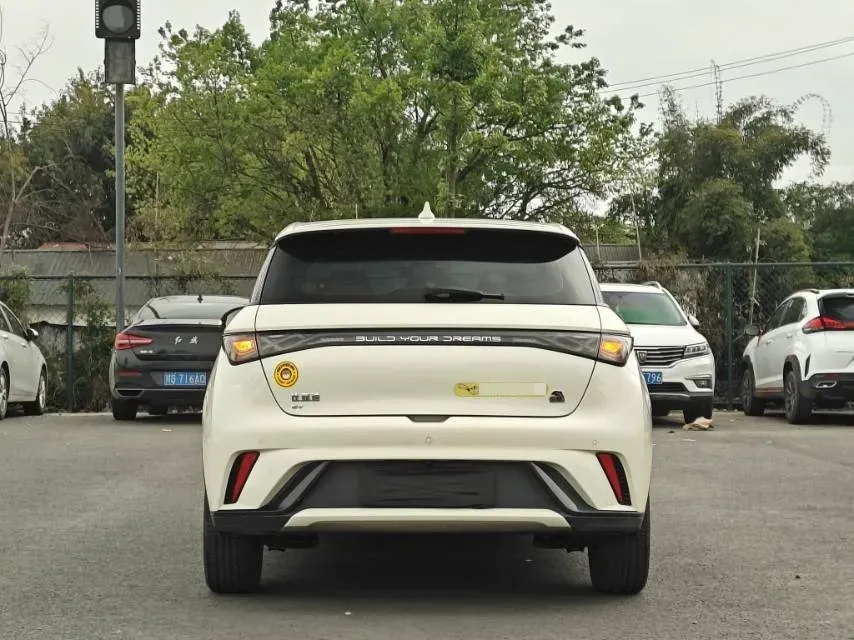 2023 BYD Dolphin BEV 44.928KWH,autocango,china used car exporter,china ev exporter,chinese used car exporter,chinese used ev exporter