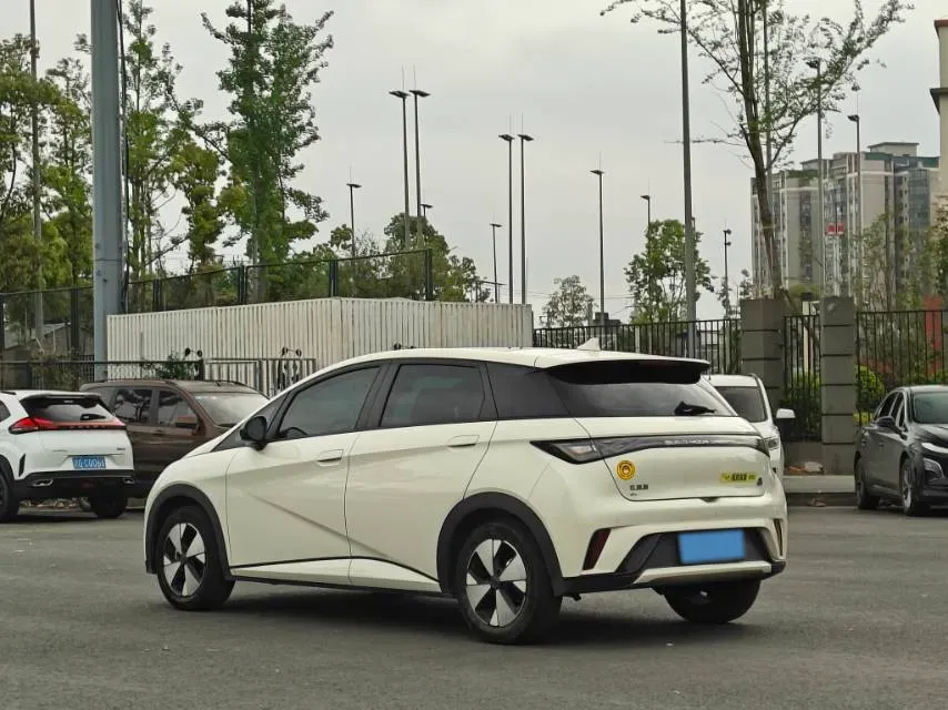 2023 BYD Dolphin BEV 44.928KWH,autocango,china used car exporter,china ev exporter,chinese used car exporter,chinese used ev exporter