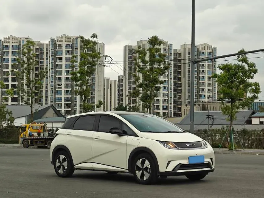 2023 BYD Dolphin BEV 44.928KWH,autocango,china used car exporter,china ev exporter,chinese used car exporter,chinese used ev exporter