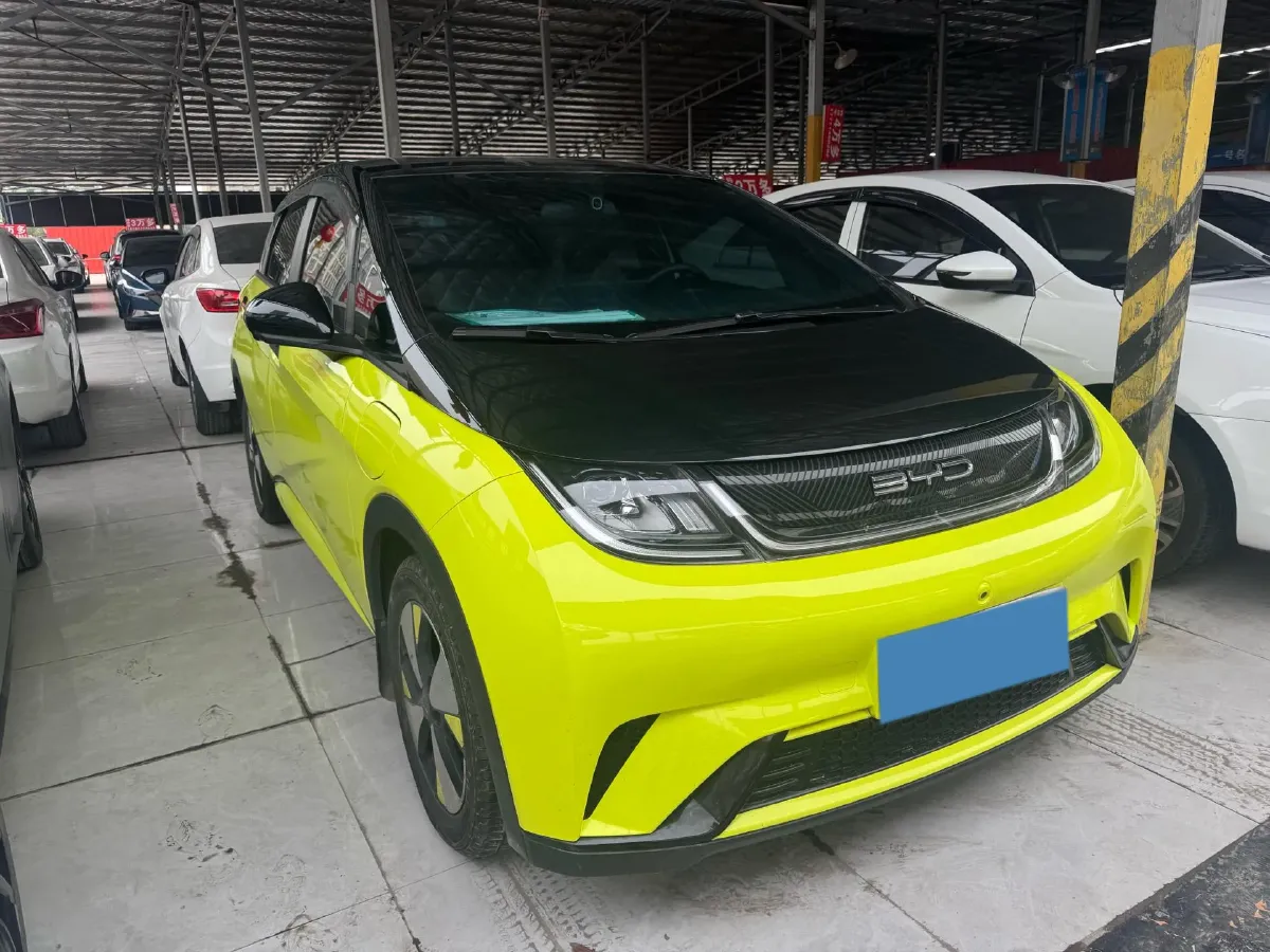 2023 BYD Dolphin BEV 44.928KWH,autocango,china used car exporter,china ev exporter,chinese used car exporter,chinese used ev exporter