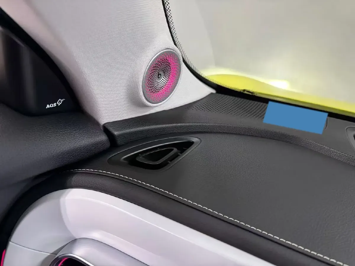 2024 Smart smart Elf 1 BEV 66KWH,autocango,china used car exporter,china ev exporter,chinese used car exporter,chinese used ev exporter