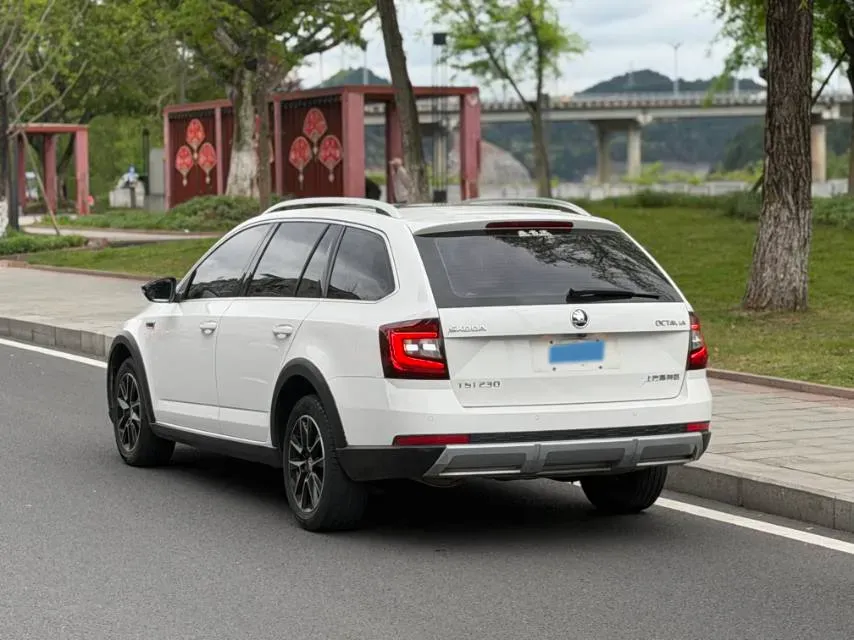 2018 Skoda Octavia 1.2T 116HP L4 7DCT,autocango,china used car exporter,china ev exporter,chinese used car exporter,chinese used ev exporter