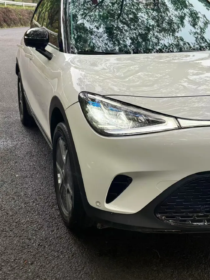 2023 Smart smart Elf 1 BEV 49KWH,autocango,china used car exporter,china ev exporter,chinese used car exporter,chinese used ev exporter