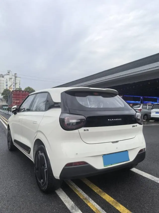 2025 DongFeng Nammi 01 BEV,autocango,china used car exporter,china ev exporter,chinese used car exporter,chinese used ev exporter