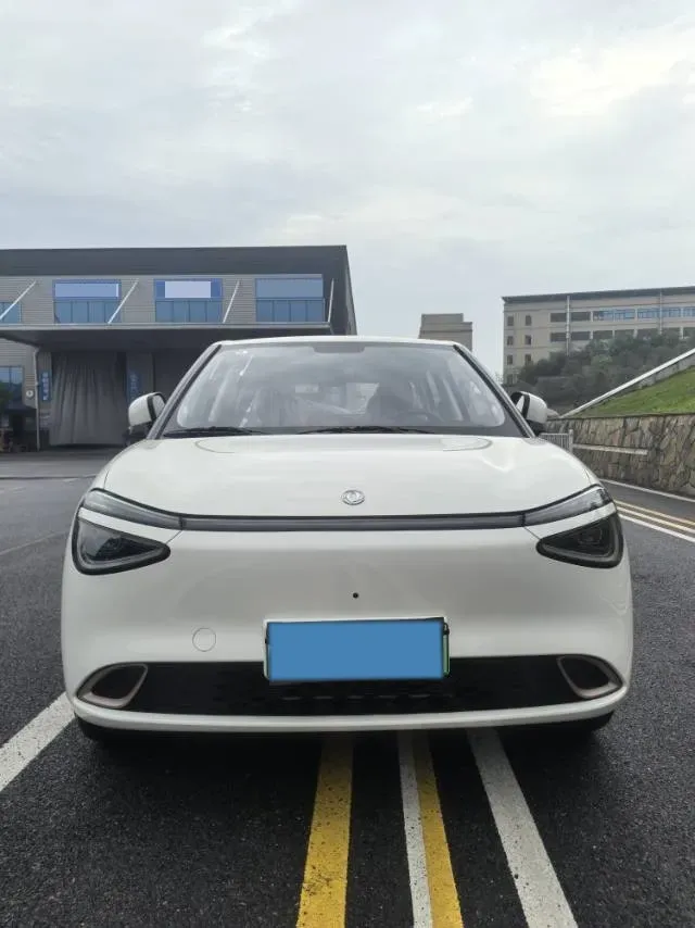 2025 DongFeng Nammi 01 BEV,autocango,china used car exporter,china ev exporter,chinese used car exporter,chinese used ev exporter