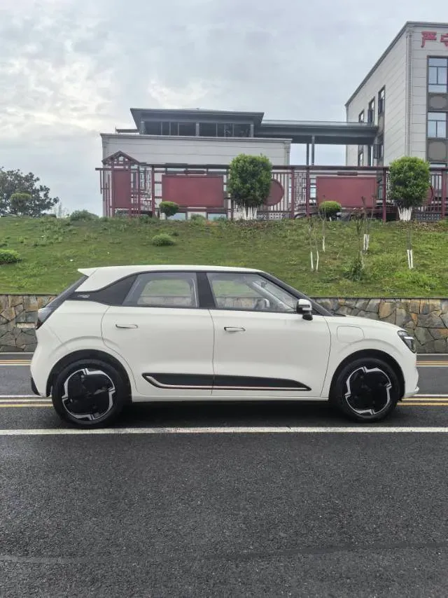 2025 DongFeng Nammi 01 BEV,autocango,china used car exporter,china ev exporter,chinese used car exporter,chinese used ev exporter