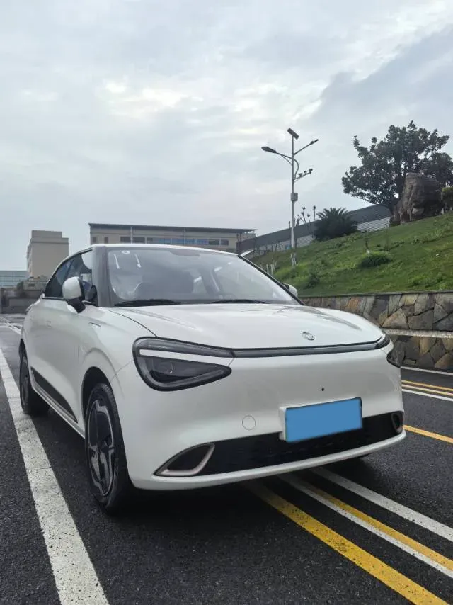 2025 DongFeng Nammi 01 BEV,autocango,china used car exporter,china ev exporter,chinese used car exporter,chinese used ev exporter