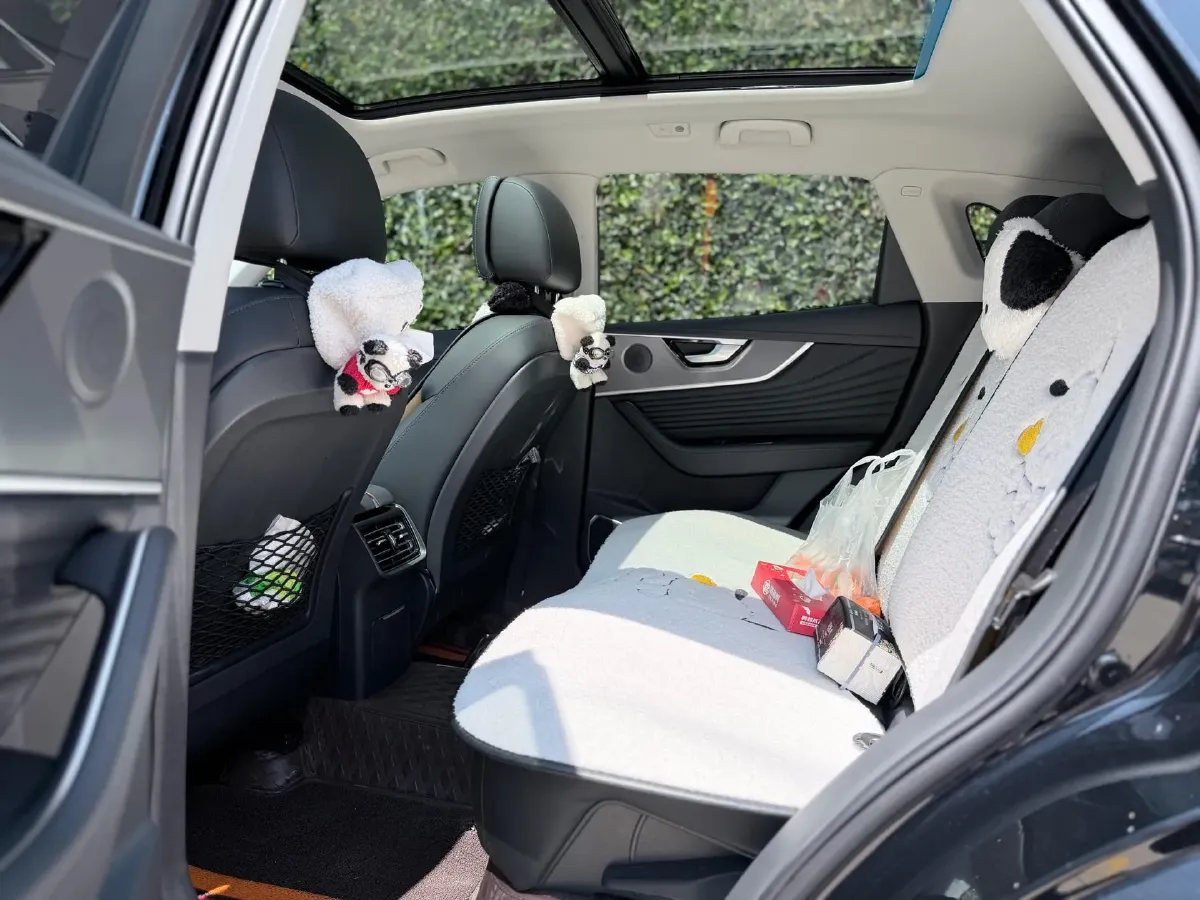 2023 HongQi HS5 2.0T 252HP L4 8AT,autocango,china used car exporter,china ev exporter,chinese used car exporter,chinese used ev exporter