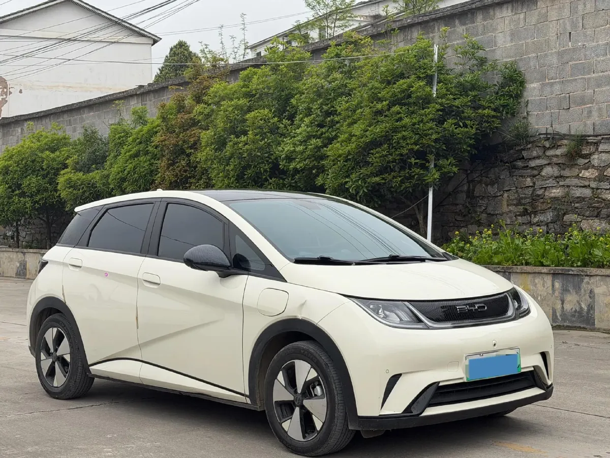 2023 BYD Dolphin BEV 44.928KWH,autocango,china used car exporter,china ev exporter,chinese used car exporter,chinese used ev exporter