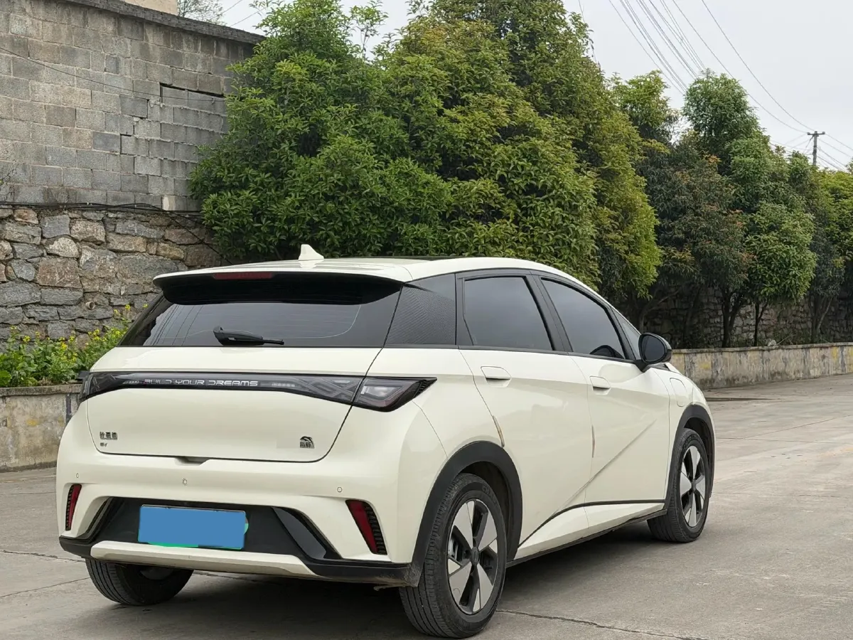 2023 BYD Dolphin BEV 44.928KWH,autocango,china used car exporter,china ev exporter,chinese used car exporter,chinese used ev exporter