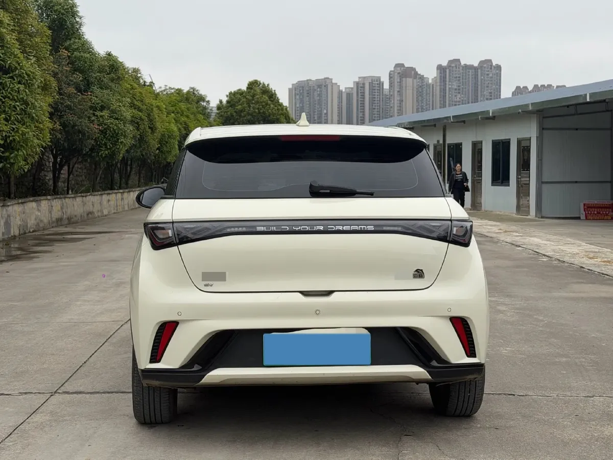 2023 BYD Dolphin BEV 44.928KWH,autocango,china used car exporter,china ev exporter,chinese used car exporter,chinese used ev exporter