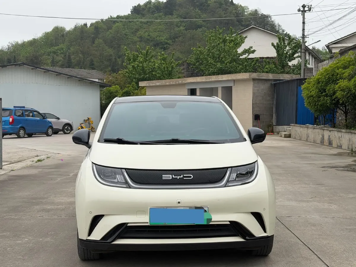 2023 BYD Dolphin BEV 44.928KWH,autocango,china used car exporter,china ev exporter,chinese used car exporter,chinese used ev exporter