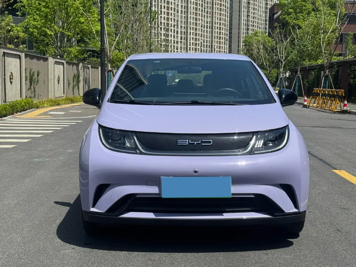 2023 BYD Dolphin BEV 44.928KWH,autocango,china used car exporter,china ev exporter,chinese used car exporter,chinese used ev exporter