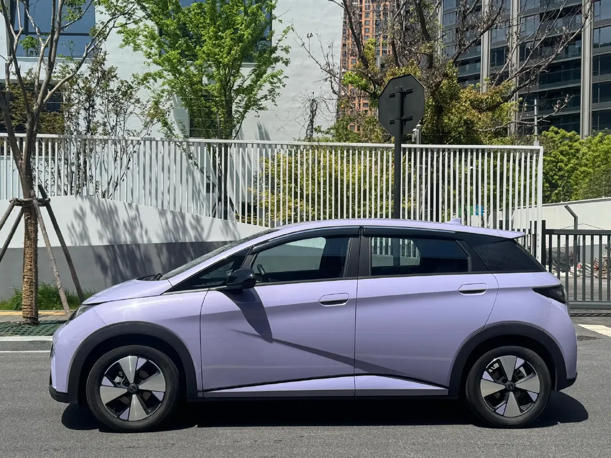 2023 BYD Dolphin BEV 44.928KWH,autocango,china used car exporter,china ev exporter,chinese used car exporter,chinese used ev exporter