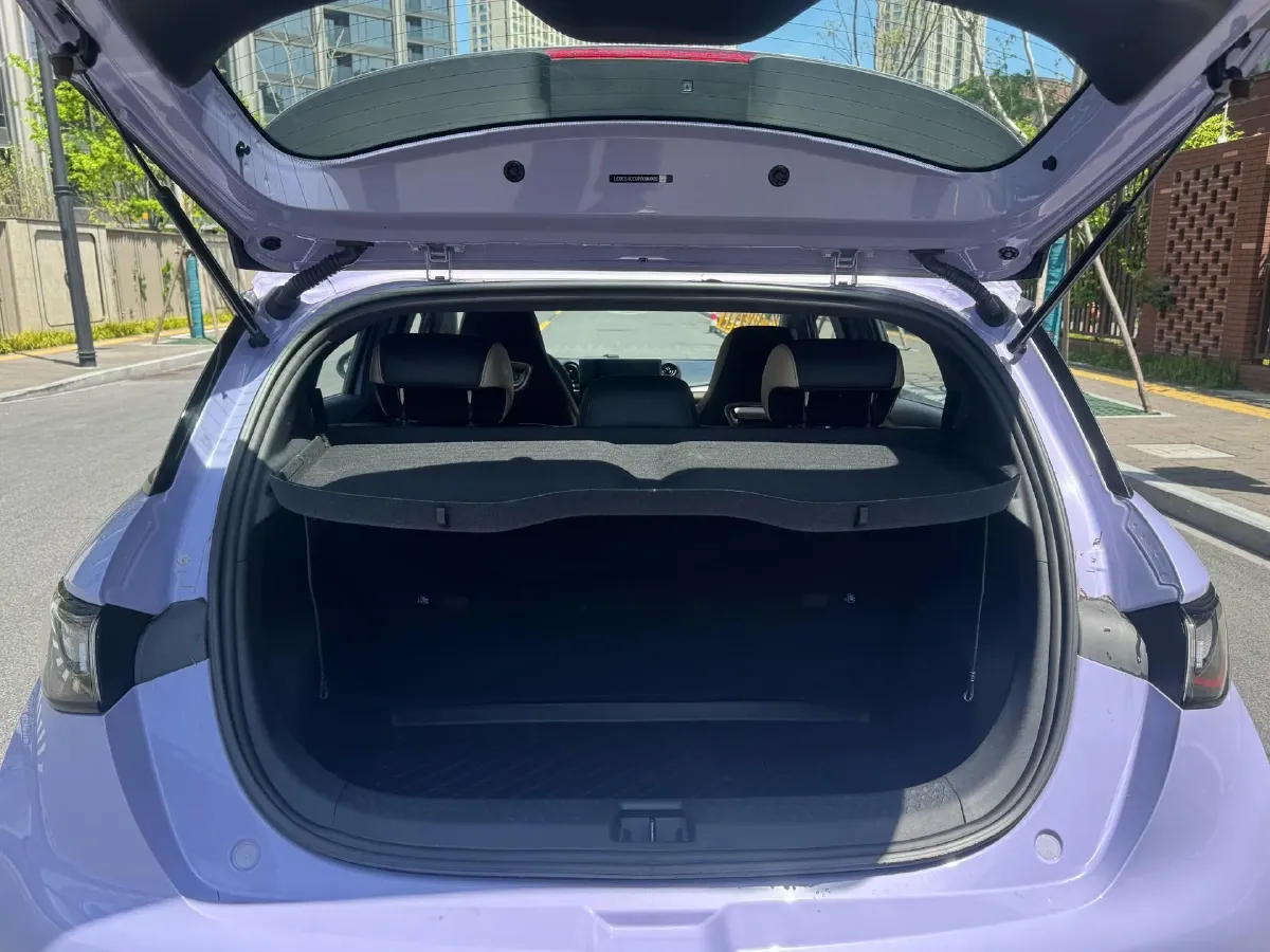 2023 BYD Dolphin BEV 44.928KWH,autocango,china used car exporter,china ev exporter,chinese used car exporter,chinese used ev exporter