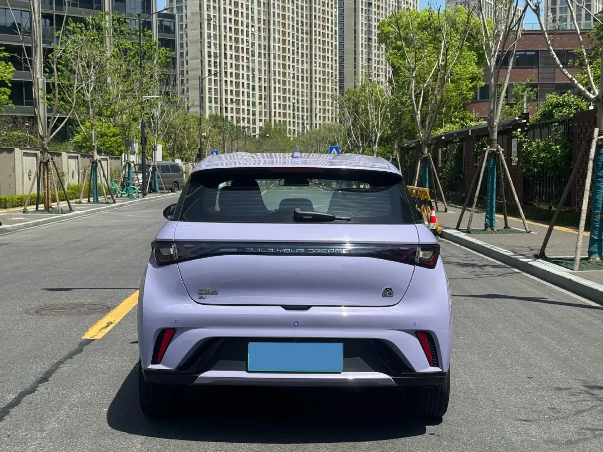 2023 BYD Dolphin BEV 44.928KWH,autocango,china used car exporter,china ev exporter,chinese used car exporter,chinese used ev exporter