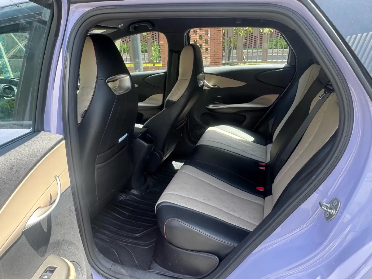 2023 BYD Dolphin BEV 44.928KWH,autocango,china used car exporter,china ev exporter,chinese used car exporter,chinese used ev exporter