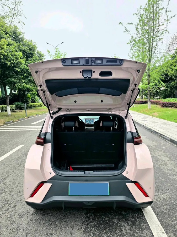 2024 BYD Seagull BEV 38.88KWH,autocango,china used car exporter,china ev exporter,chinese used car exporter,chinese used ev exporter