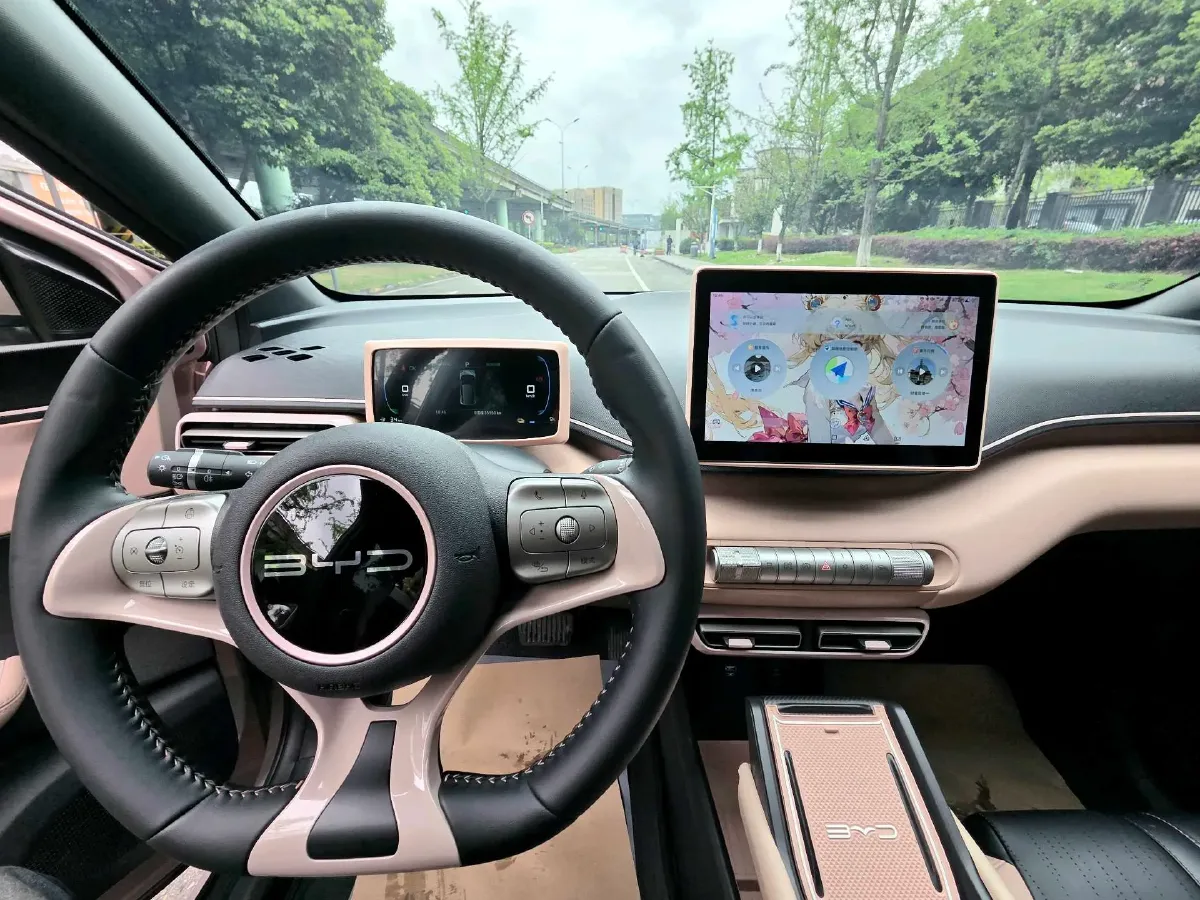 2024 BYD Seagull BEV 38.88KWH,autocango,china used car exporter,china ev exporter,chinese used car exporter,chinese used ev exporter