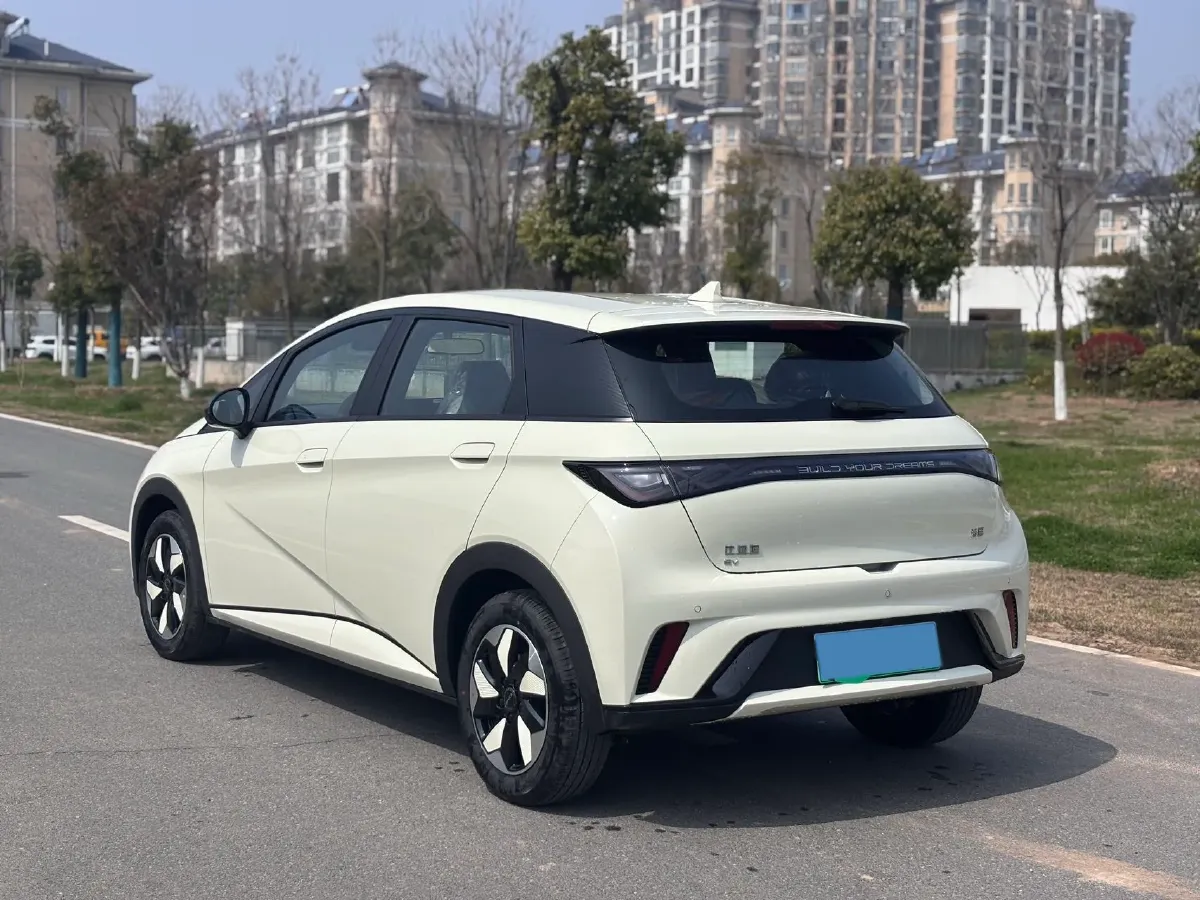 2025 BYD Dolphin BEV 44.928KWH,autocango,china used car exporter,china ev exporter,chinese used car exporter,chinese used ev exporter