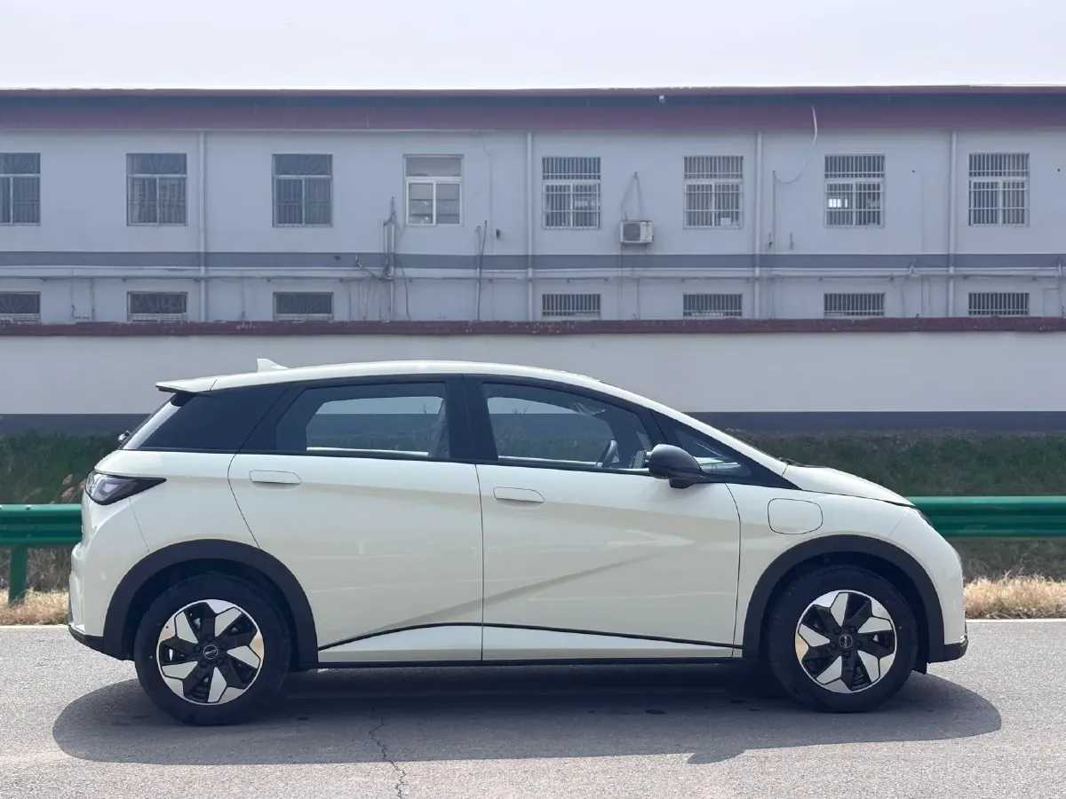 2025 BYD Dolphin BEV 44.928KWH,autocango,china used car exporter,china ev exporter,chinese used car exporter,chinese used ev exporter