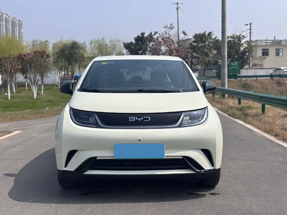 2025 BYD Dolphin BEV 44.928KWH,autocango,china used car exporter,china ev exporter,chinese used car exporter,chinese used ev exporter