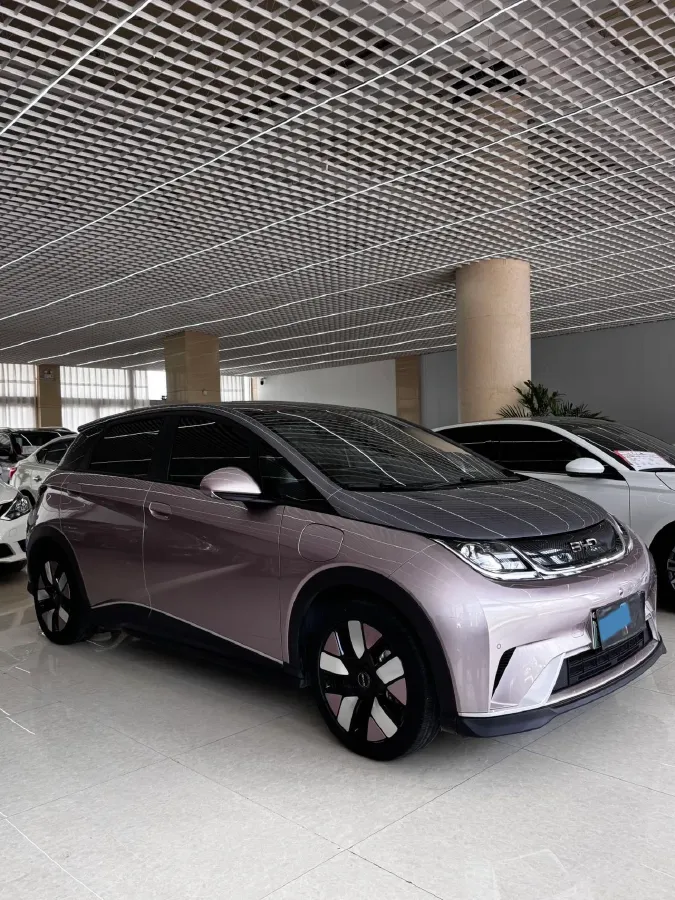 2025 BYD Dolphin BEV 60.48KWH,autocango,china used car exporter,china ev exporter,chinese used car exporter,chinese used ev exporter