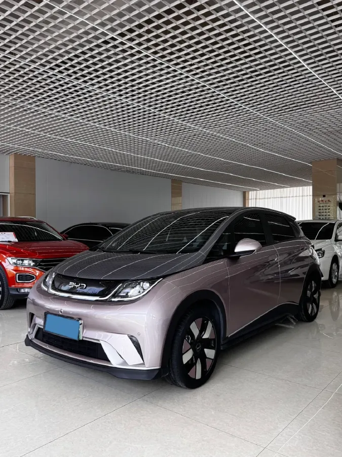 2025 BYD Dolphin BEV 60.48KWH,autocango,china used car exporter,china ev exporter,chinese used car exporter,chinese used ev exporter