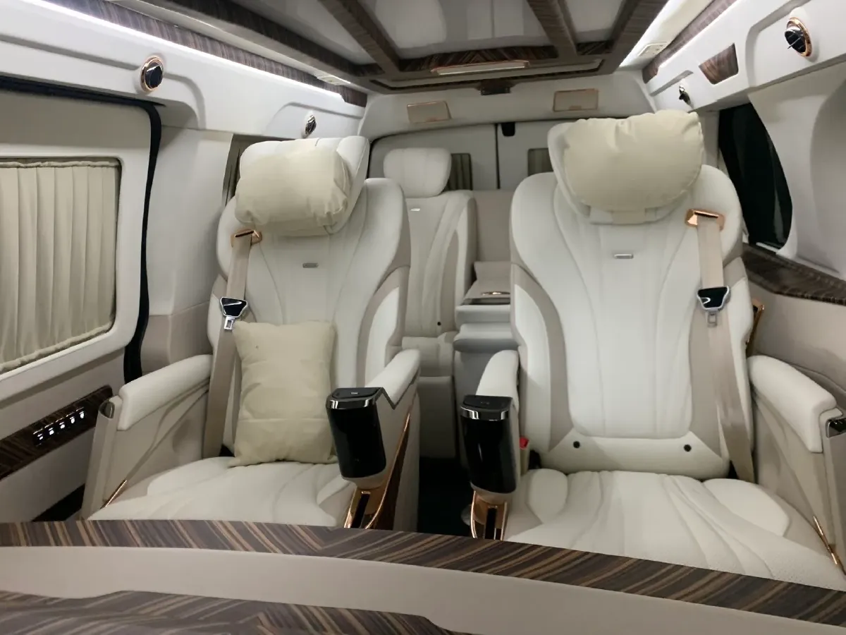 2020 Ford Tourneo 2.0T 203HP L4 6AT,autocango,china used car exporter,china ev exporter,chinese used car exporter,chinese used ev exporter