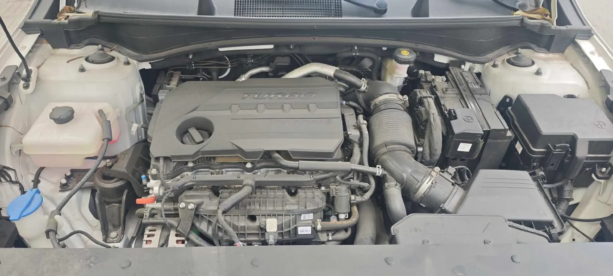 2023 Kia Sportage 2.0T 236HP L4 8AT,autocango,china used car exporter,china ev exporter,chinese used car exporter,chinese used ev exporter