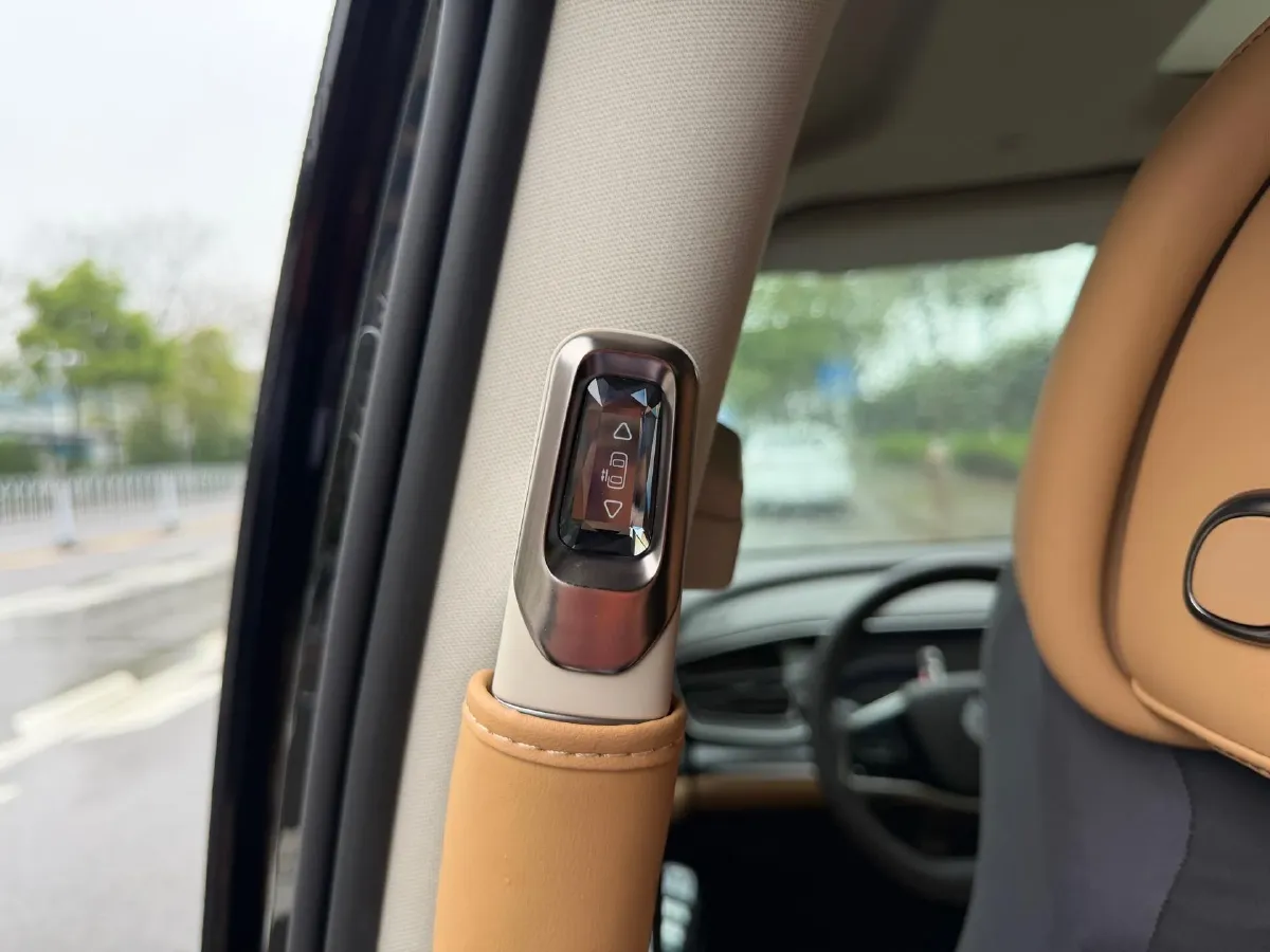 2024 Denza D9 1.5T 139HP L4 E-CVT PHEV 40KWH,autocango,china used car exporter,china ev exporter,chinese used car exporter,chinese used ev exporter