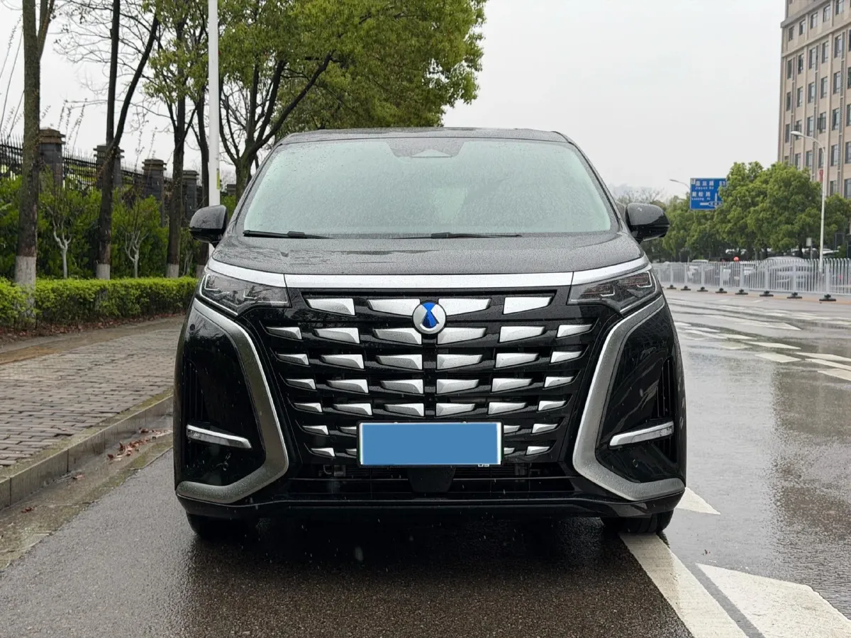 2024 Denza D9 1.5T 139HP L4 E-CVT PHEV 40KWH,autocango,china used car exporter,china ev exporter,chinese used car exporter,chinese used ev exporter