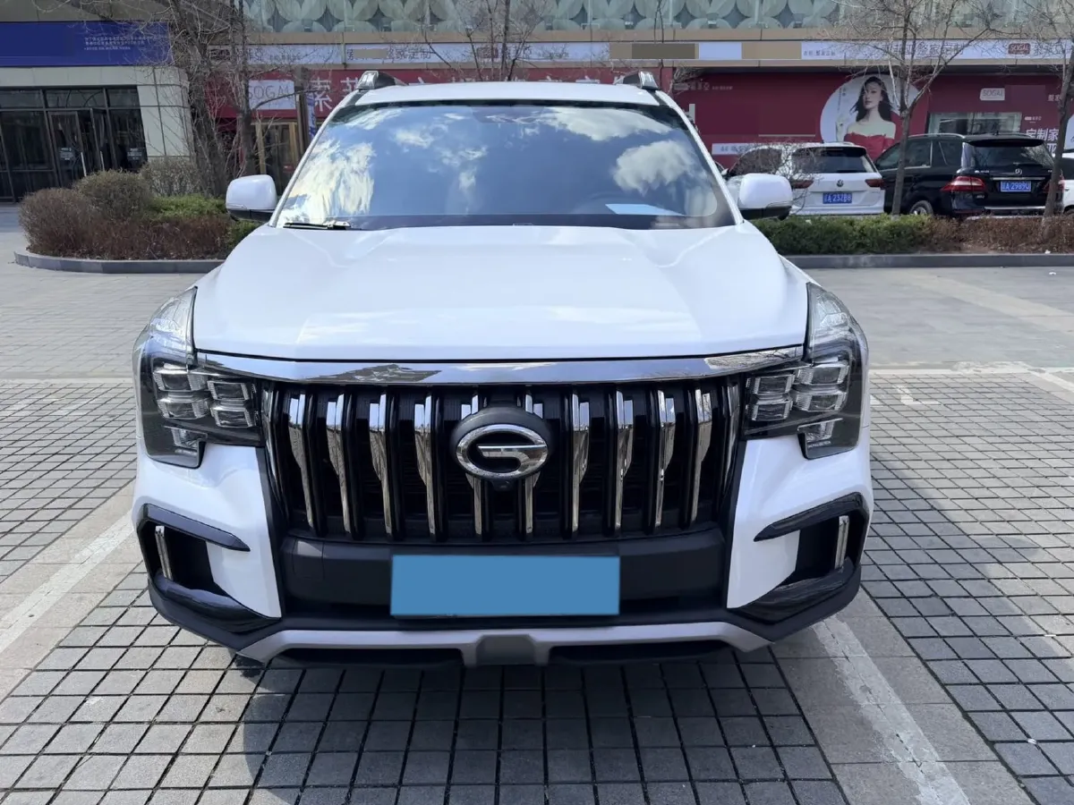 2020 GAC Trumpchi GS8 2.0T 252HP L4 6AT,autocango,china used car exporter,china ev exporter,chinese used car exporter,chinese used ev exporter