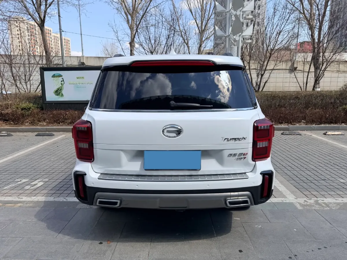 2020 GAC Trumpchi GS8 2.0T 252HP L4 6AT,autocango,china used car exporter,china ev exporter,chinese used car exporter,chinese used ev exporter