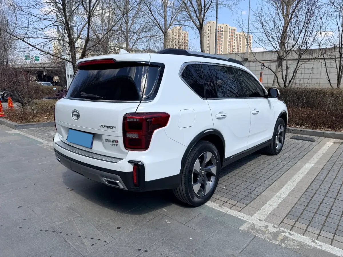 2020 GAC Trumpchi GS8 2.0T 252HP L4 6AT,autocango,china used car exporter,china ev exporter,chinese used car exporter,chinese used ev exporter