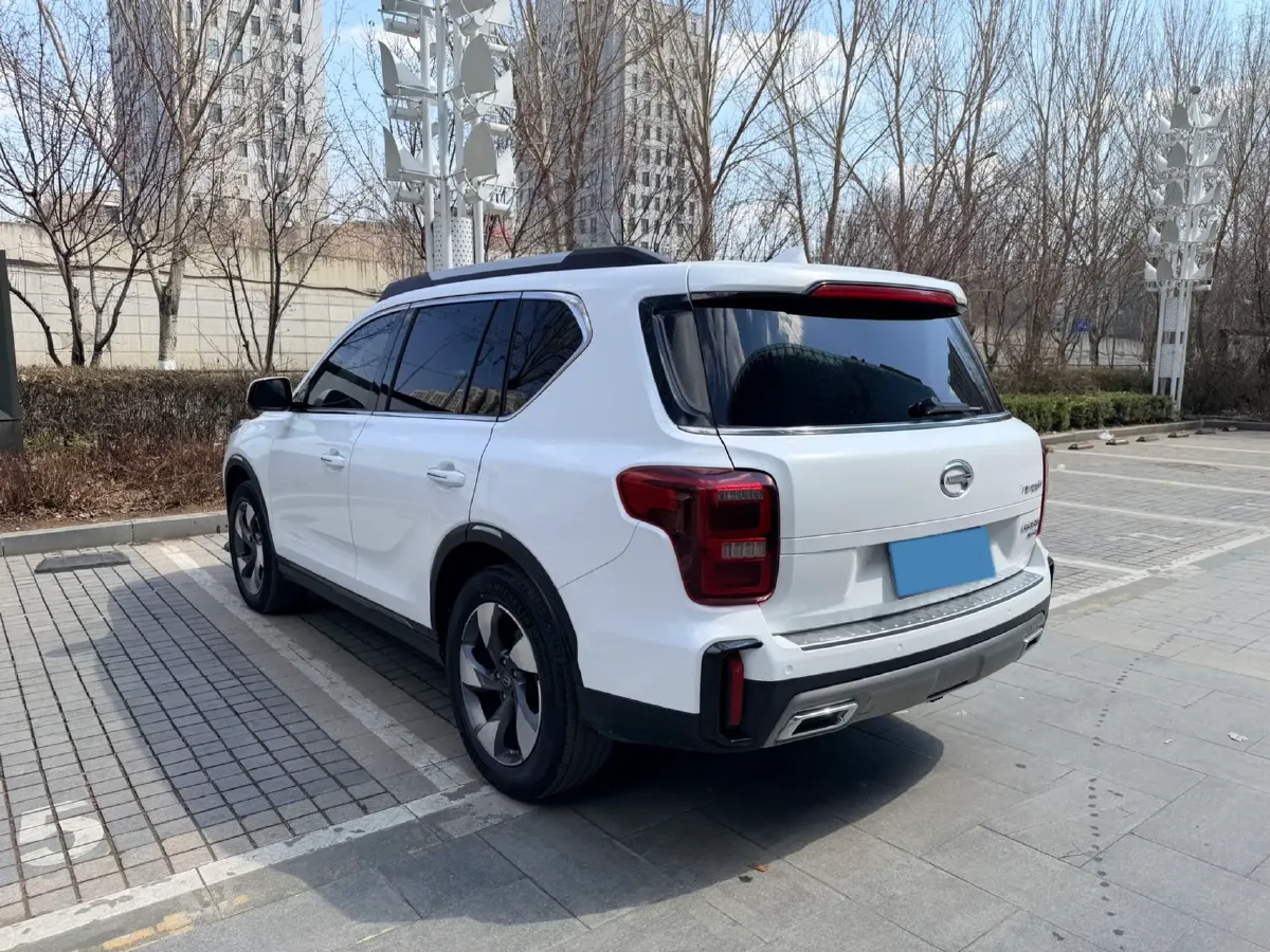 2020 GAC Trumpchi GS8 2.0T 252HP L4 6AT,autocango,china used car exporter,china ev exporter,chinese used car exporter,chinese used ev exporter