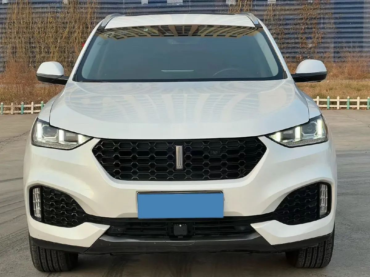 2018 WEY VV6 2.0T 197HP L4 7DCT,autocango,china used car exporter,china ev exporter,chinese used car exporter,chinese used ev exporter