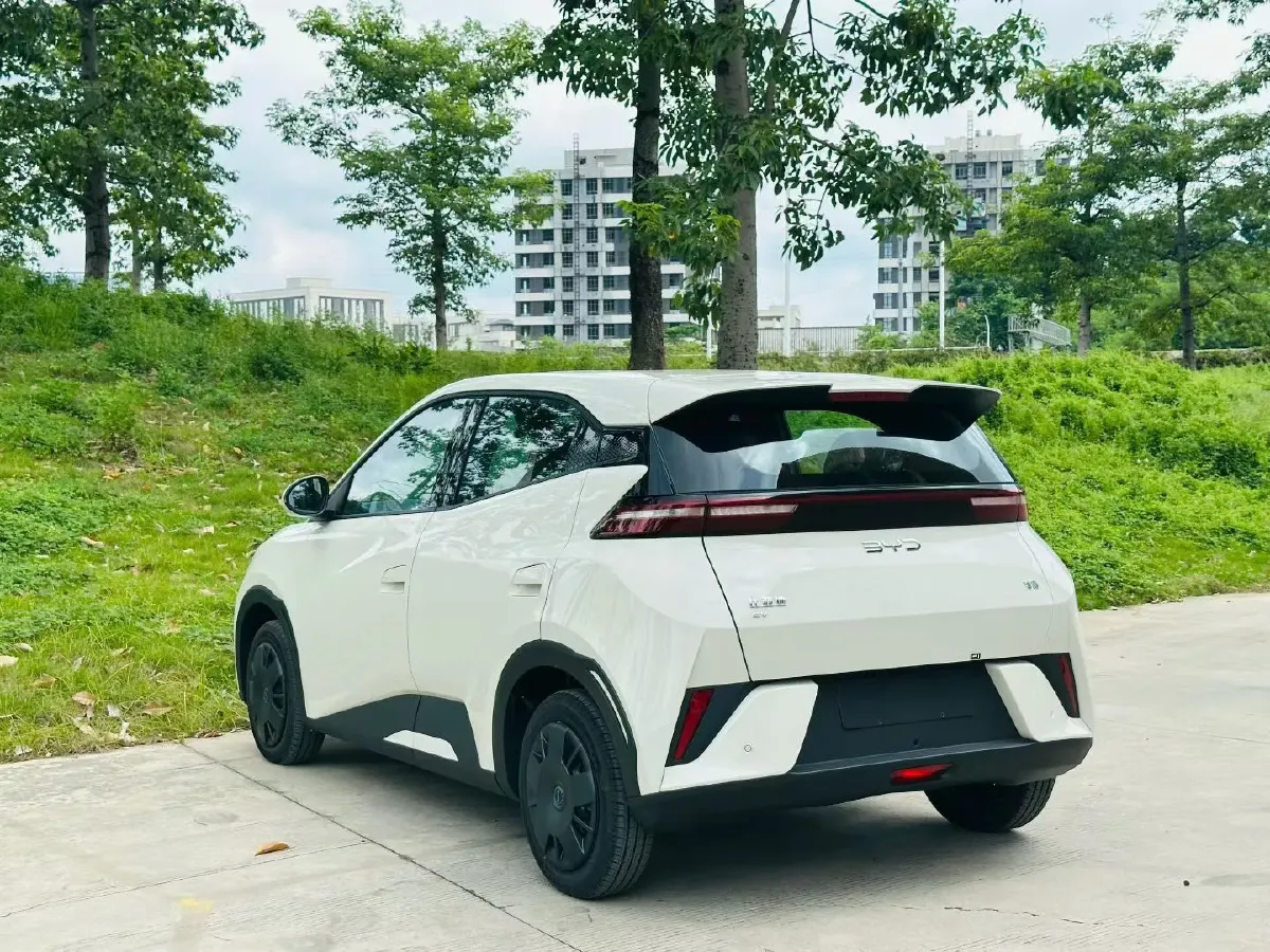 2025 BYD Seagull BEV 30.08KWH,autocango,china used car exporter,china ev exporter,chinese used car exporter,chinese used ev exporter