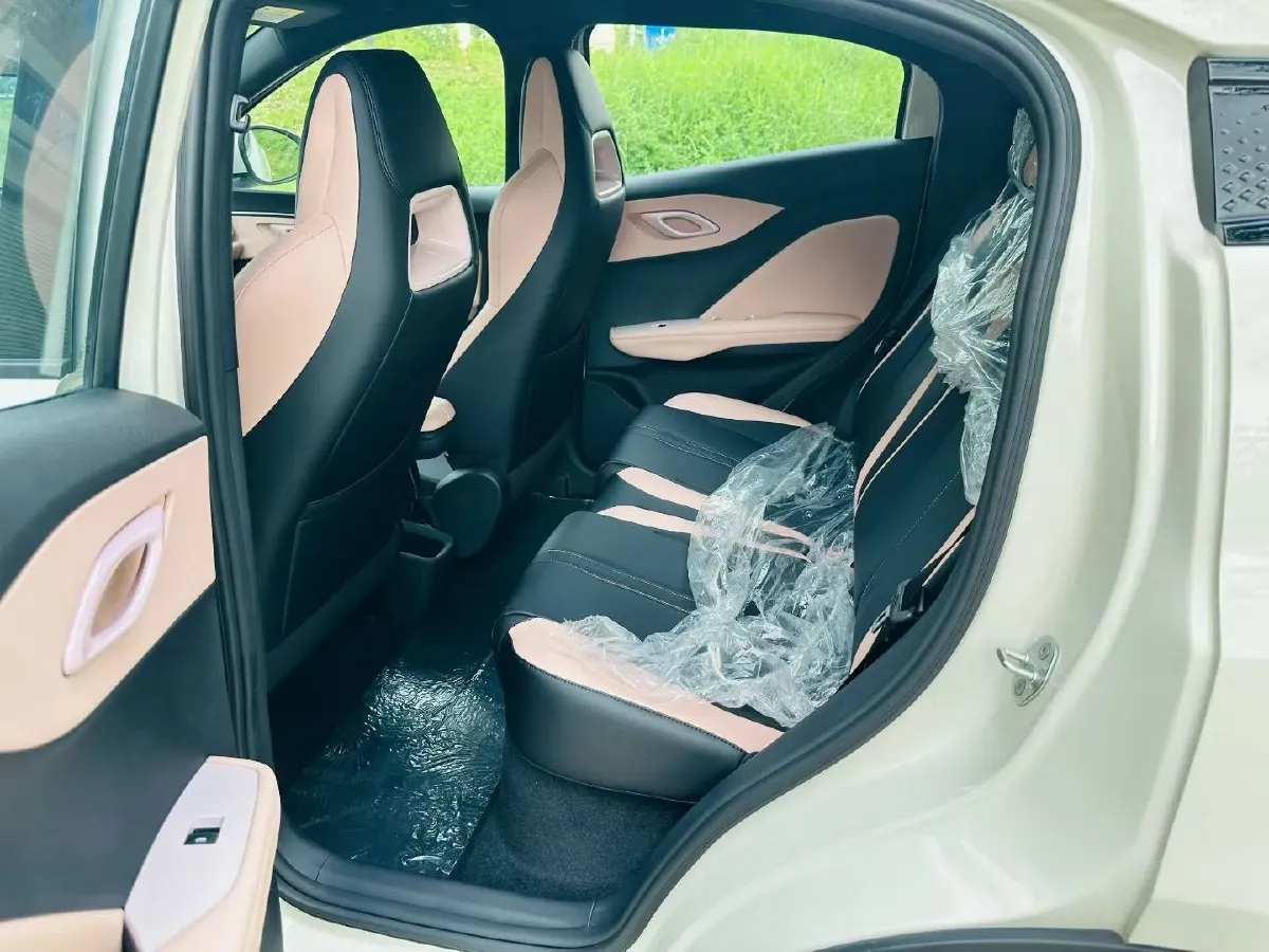 2025 BYD Seagull BEV 30.08KWH,autocango,china used car exporter,china ev exporter,chinese used car exporter,chinese used ev exporter