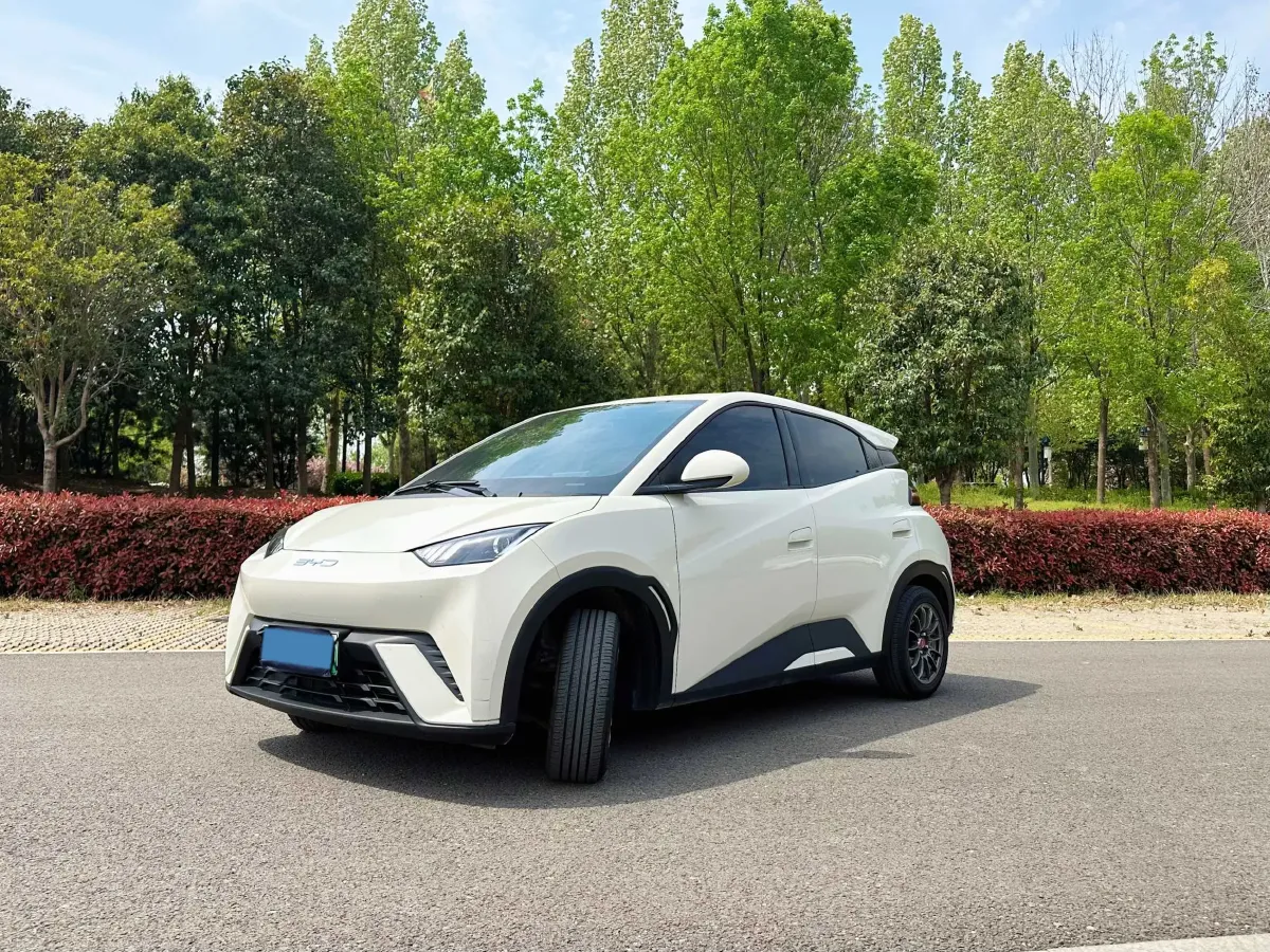 2023 BYD Seagull BEV 30.08KWH,autocango,china used car exporter,china ev exporter,chinese used car exporter,chinese used ev exporter